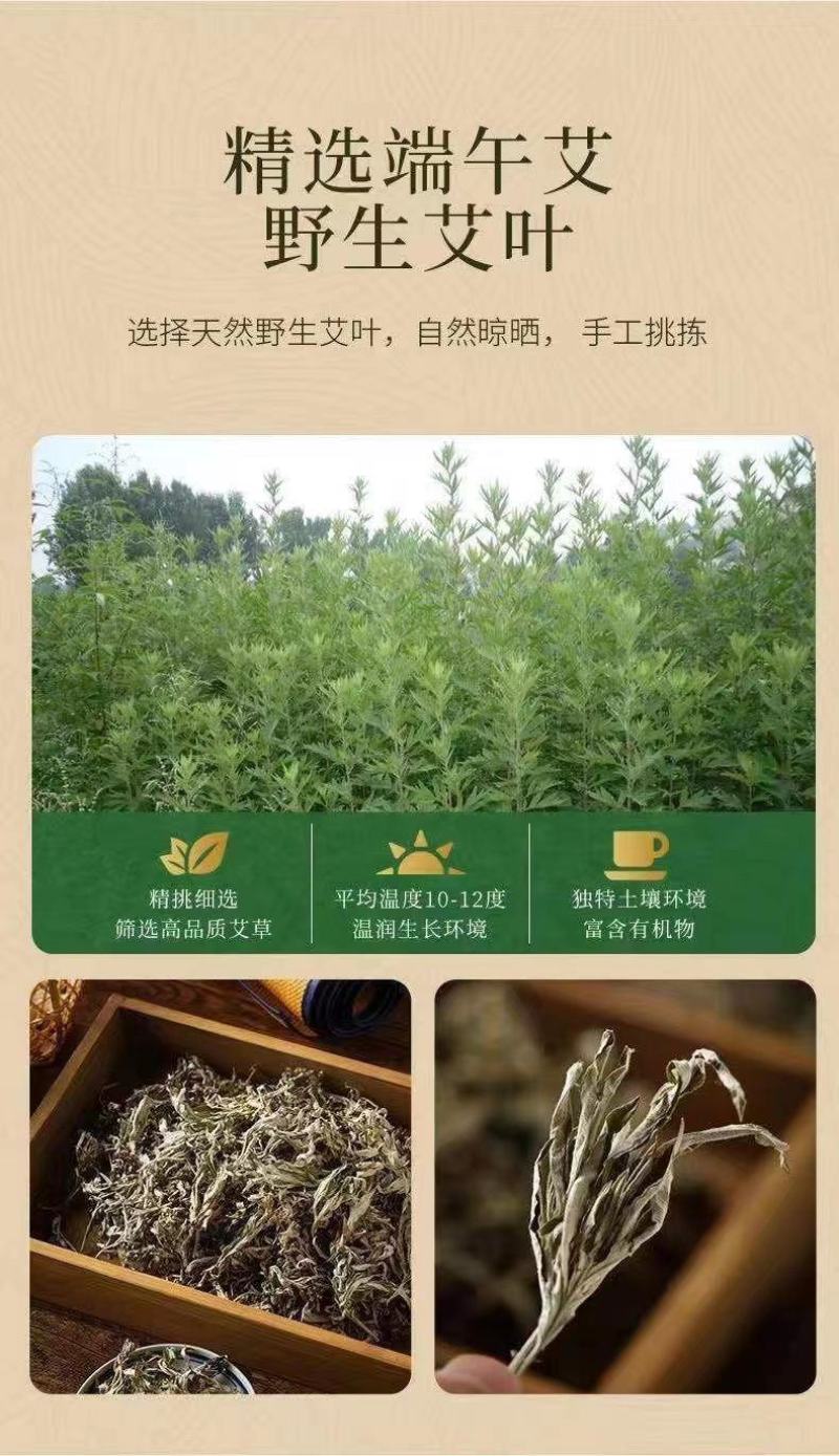 【热卖推荐】大量供应野生艾叶干艾草泡脚药包陈艾