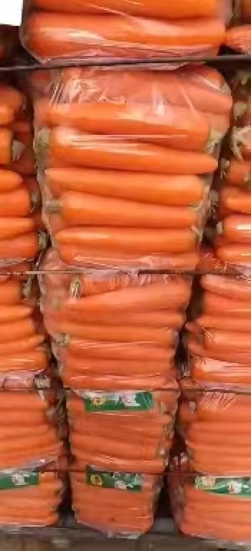 河南开封通许万亩万亩瓜果蔬菜基地欢迎各位老板前来选购
