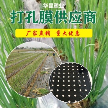 打孔地膜，支持定做，源头厂家，量大优惠。