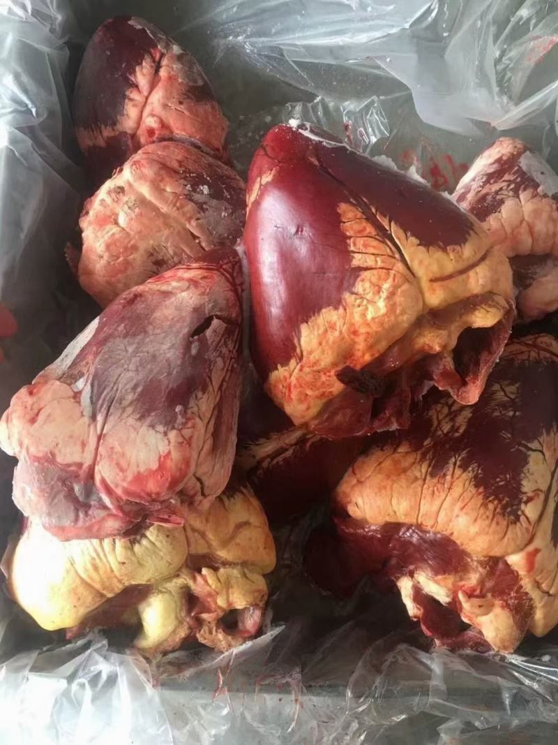内蒙古草地牧区黄牛牛心，个头均匀，新鲜冷冻，实图拍摄。