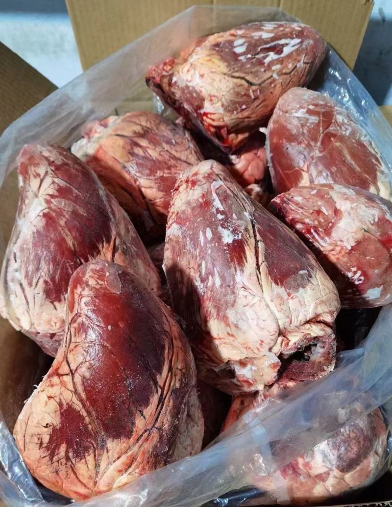 内蒙古草地牧区黄牛牛心，个头均匀，新鲜冷冻，实图拍摄。