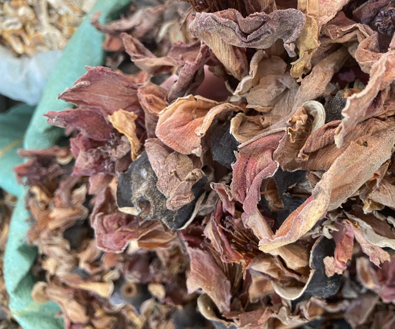 新鲜干货木棉花花茶干花野生无硫纯木棉花中药材批发