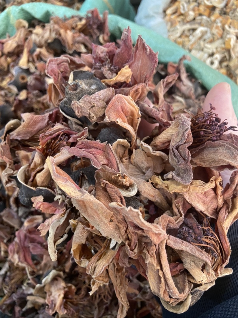新鲜干货木棉花花茶干花野生无硫纯木棉花中药材批发
