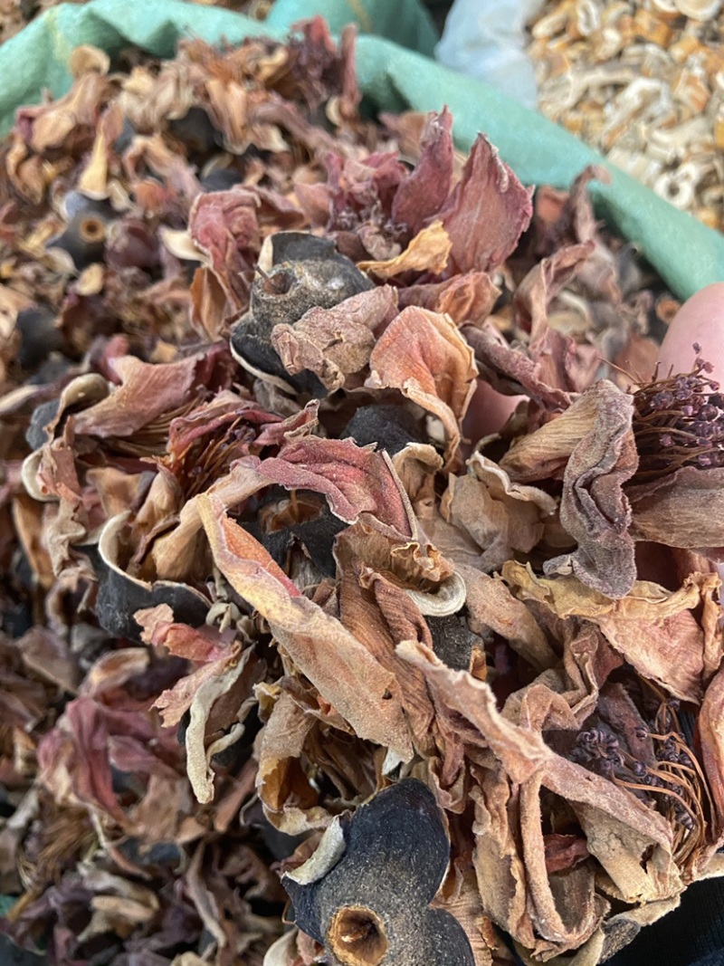 新鲜干货木棉花花茶干花野生无硫纯木棉花中药材批发