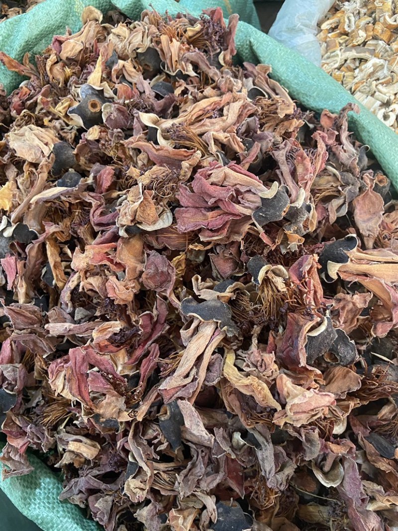 新鲜干货木棉花花茶干花野生无硫纯木棉花中药材批发
