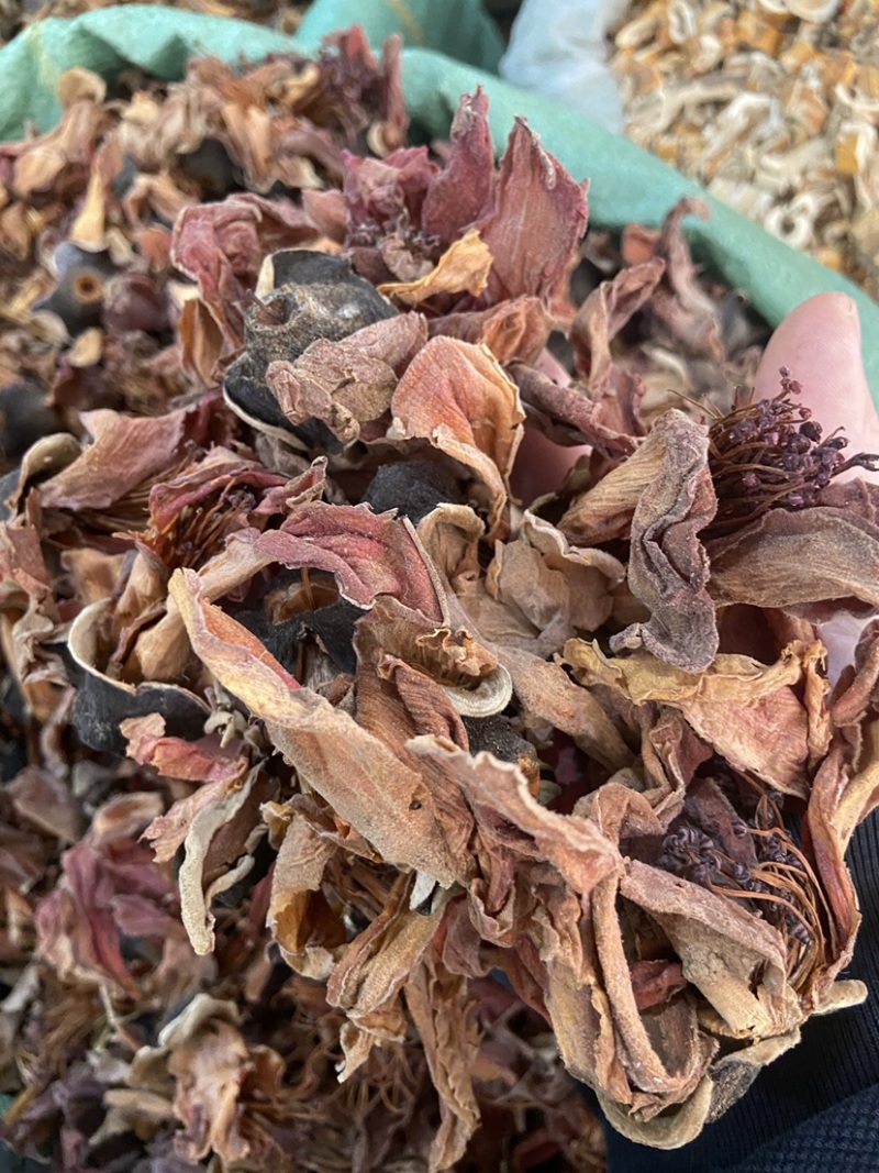 新鲜干货木棉花花茶干花野生无硫纯木棉花中药材批发