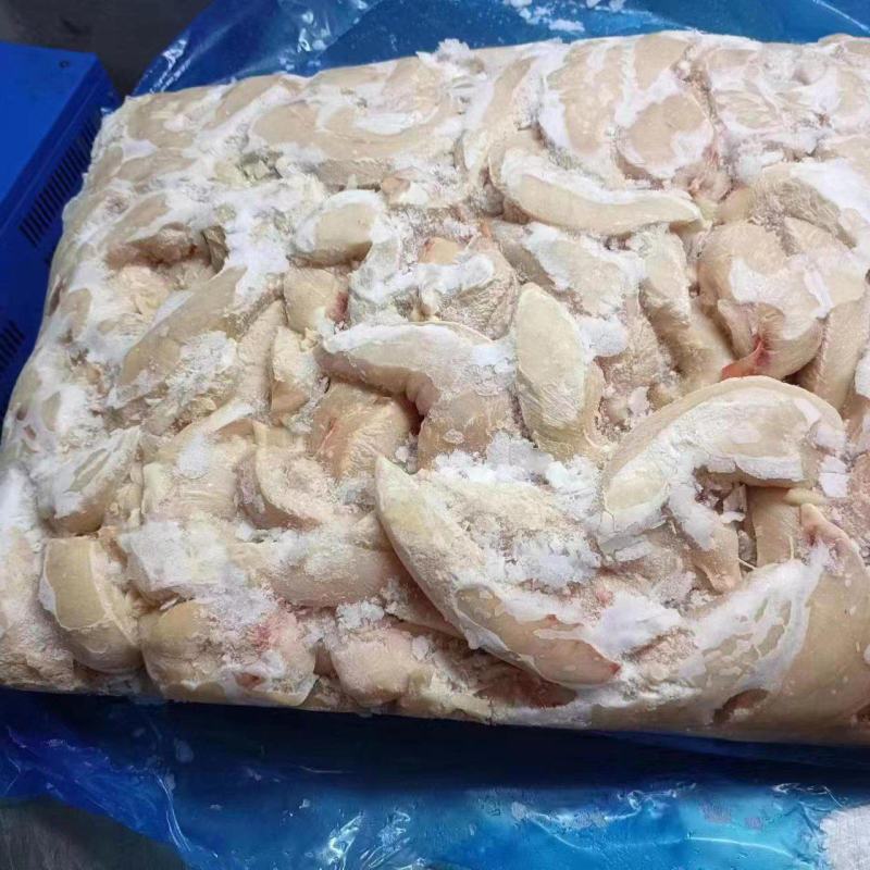 宠物小胸鸡小胸