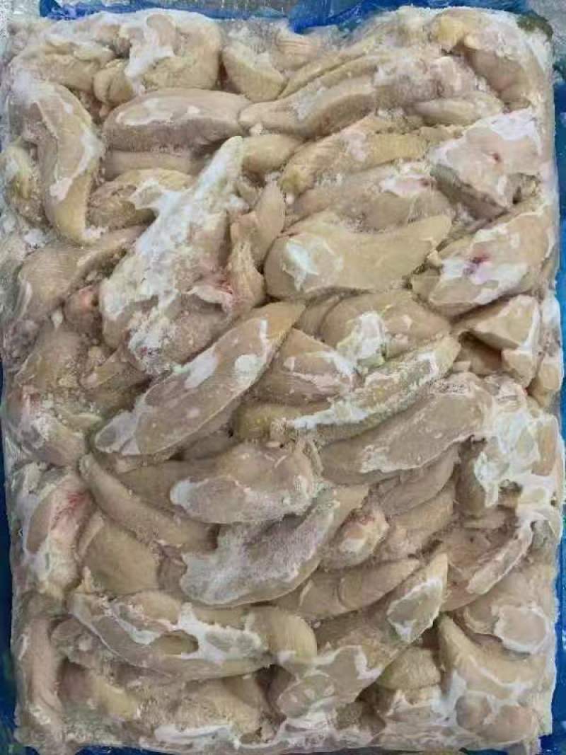 宠物小胸鸡小胸