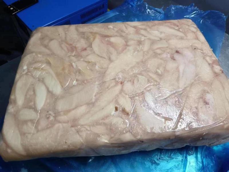宠物小胸鸡小胸