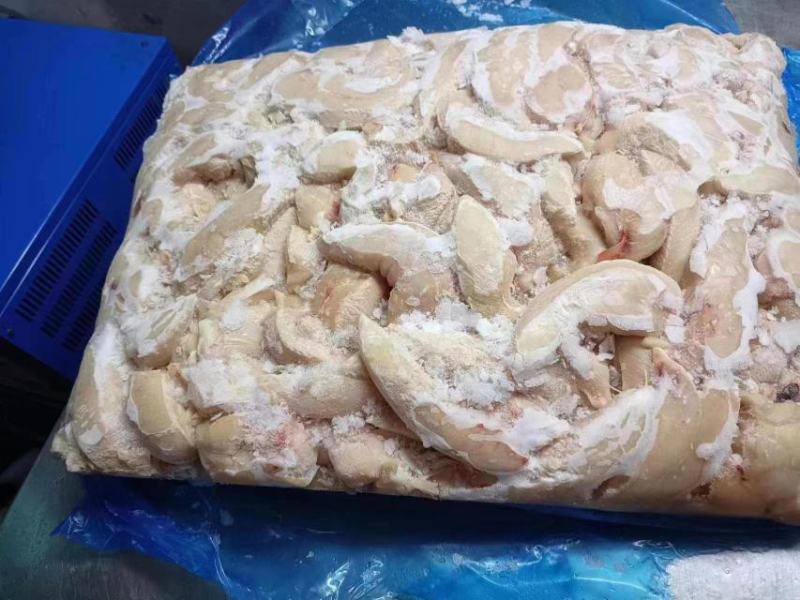 宠物小胸鸡小胸