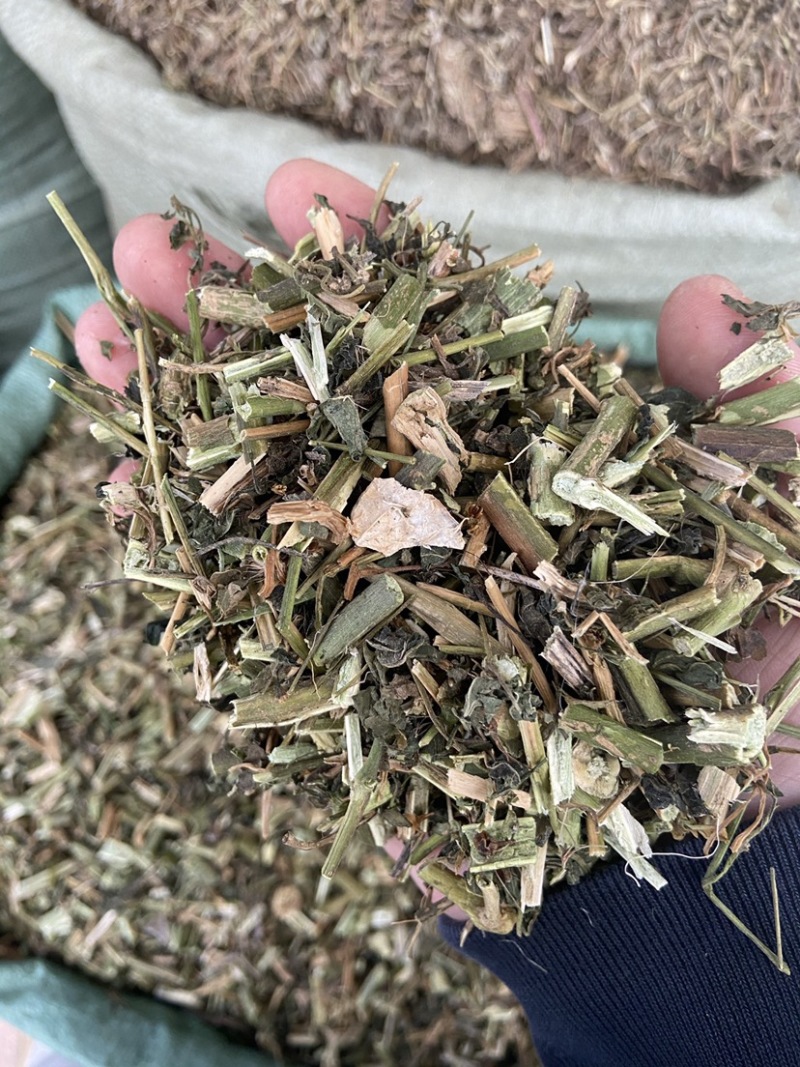 中药材正品龙葵野生新货干龙葵草干货天茄子正品批发