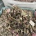 中药材正品龙葵野生新货干龙葵草干货天茄子正品批发