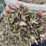 中药材正品龙葵野生新货干龙葵草干货天茄子正品批发