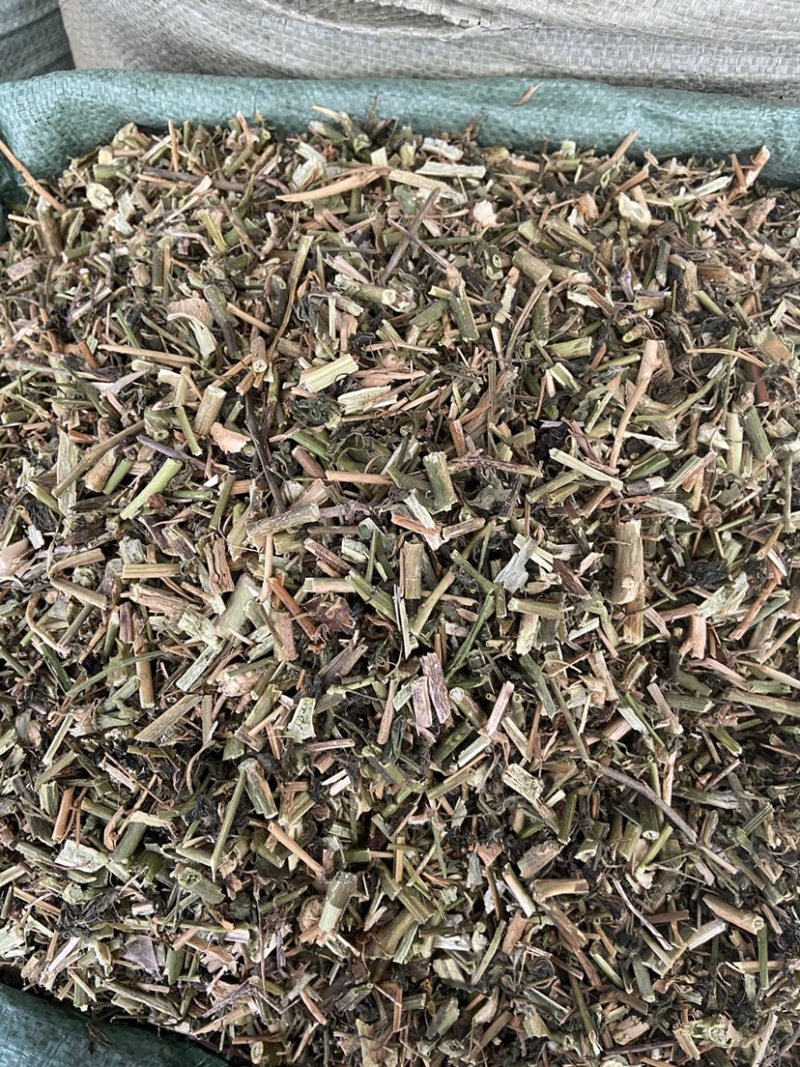 中药材正品龙葵野生新货干龙葵草干货天茄子正品批发