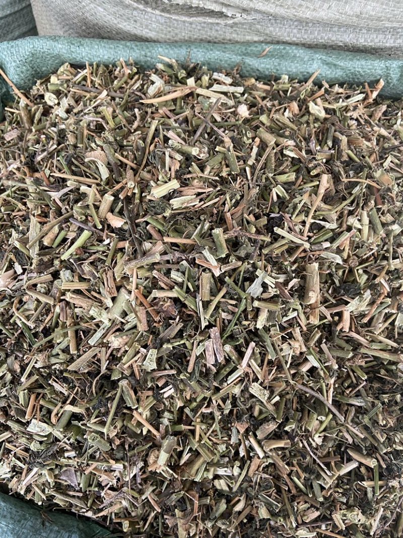 中药材正品龙葵野生新货干龙葵草干货天茄子正品批发