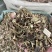 中药材正品龙葵野生新货干龙葵草干货天茄子正品批发