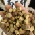 中药材两面针两面针根双面针双面刺入地金牛新货批发