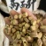 中药材两面针两面针根双面针双面刺入地金牛新货批发