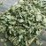 正品农家广金钱草大叶金钱草茶新鲜干货无硫整捆切断煲汤泡水