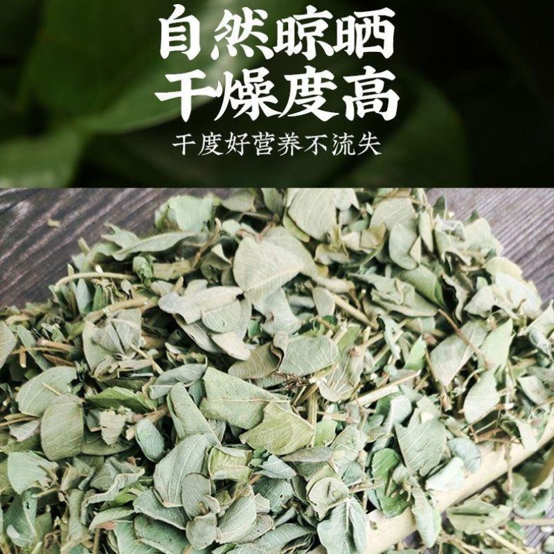 正品农家广金钱草大叶金钱草茶新鲜干货无硫整捆切断煲汤泡水