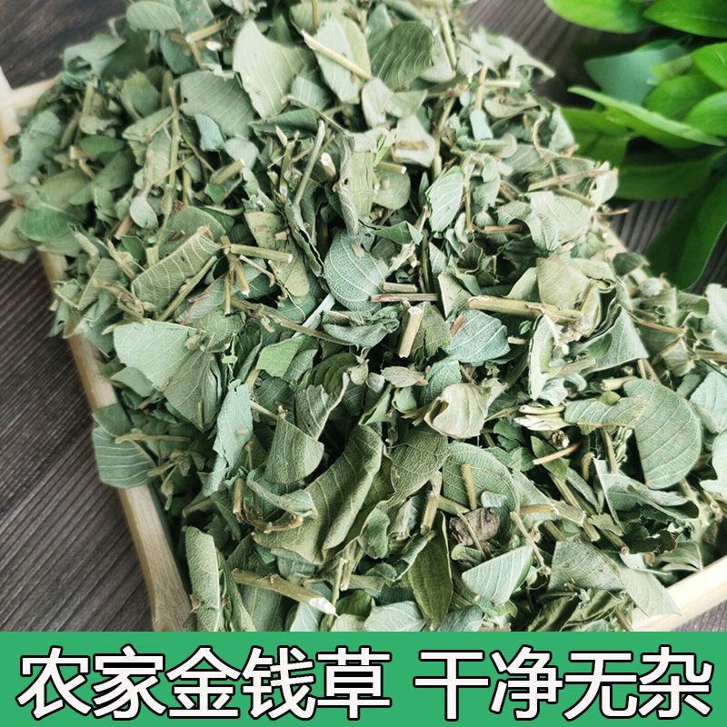 正品农家广金钱草大叶金钱草茶新鲜干货无硫整捆切断煲汤泡水