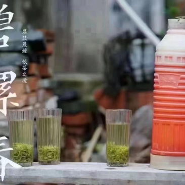 苏州东山碧螺春