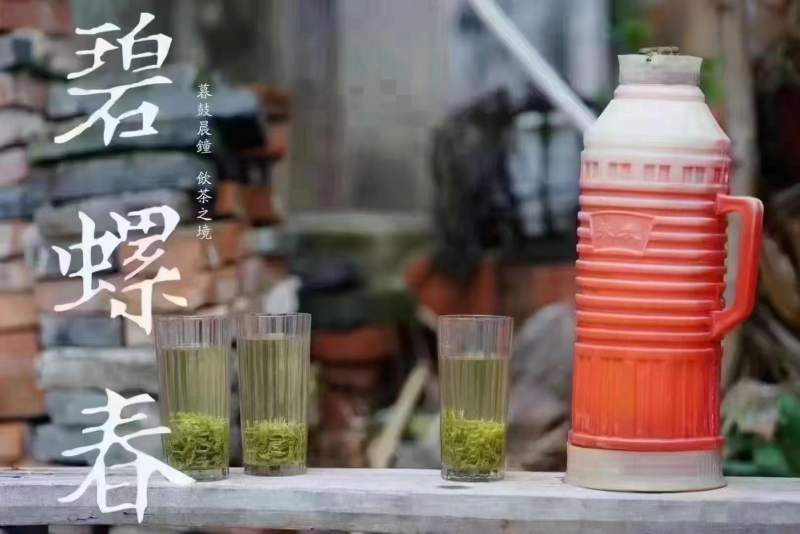 苏州东山碧螺春