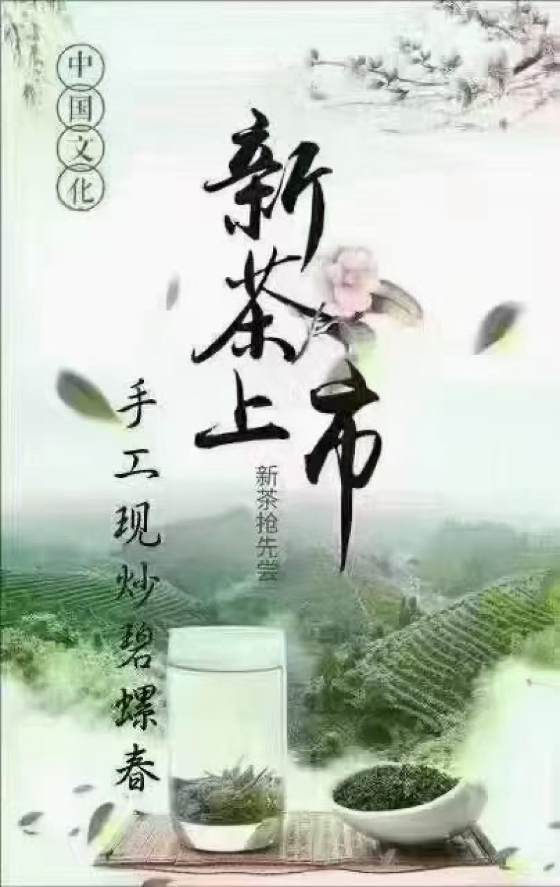 苏州东山碧螺春
