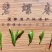 苏州东山碧螺春