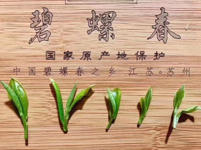 苏州东山碧螺春