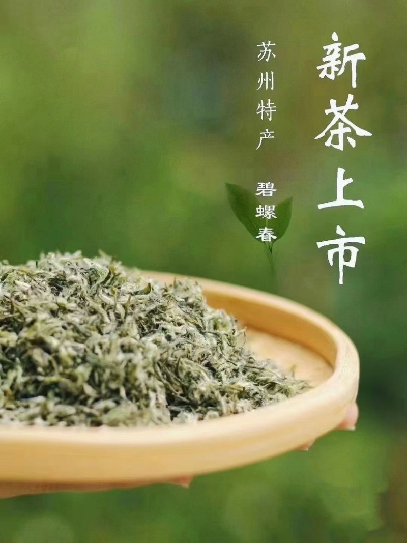 苏州东山碧螺春