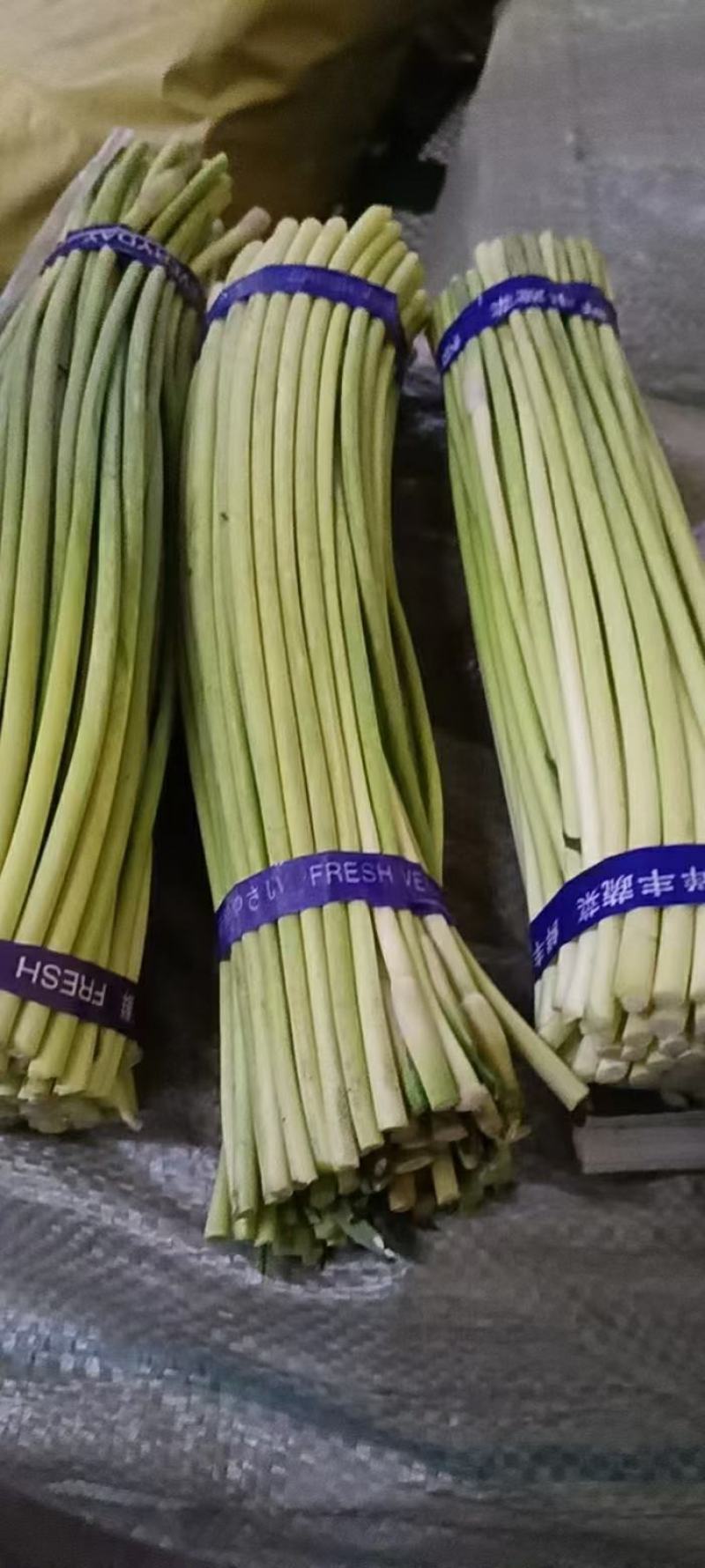 湖北荆门白帽蒜薹产地直发一手货源批发品质保证价格美丽