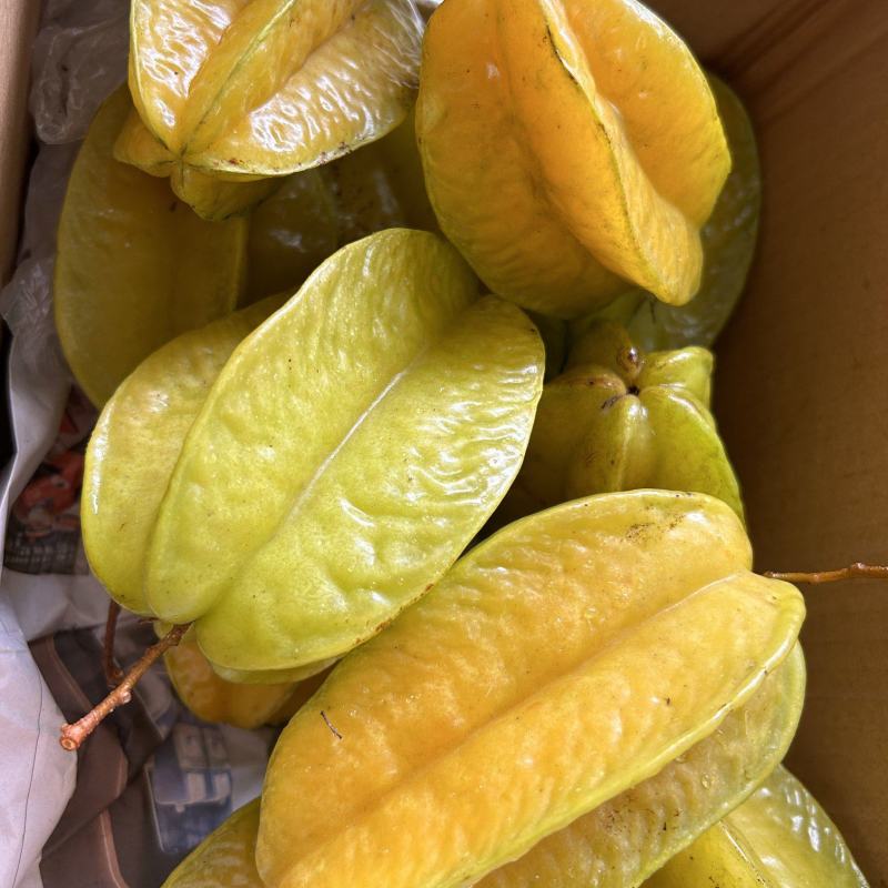 树熟香蜜杨桃