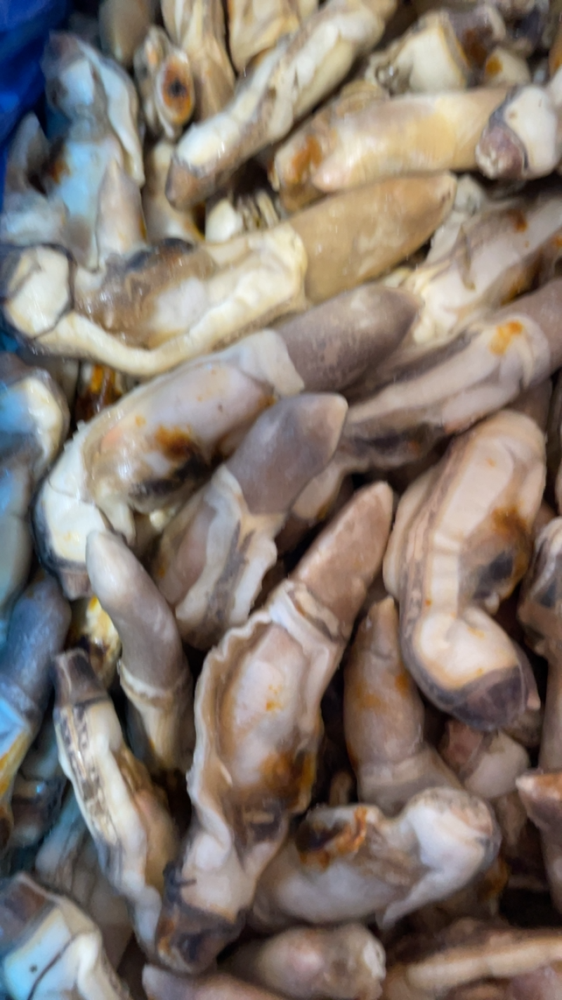 产地直销蛏王肉去沙嘴蛏王肉海蛏子肉圣子肉海鲜水产
