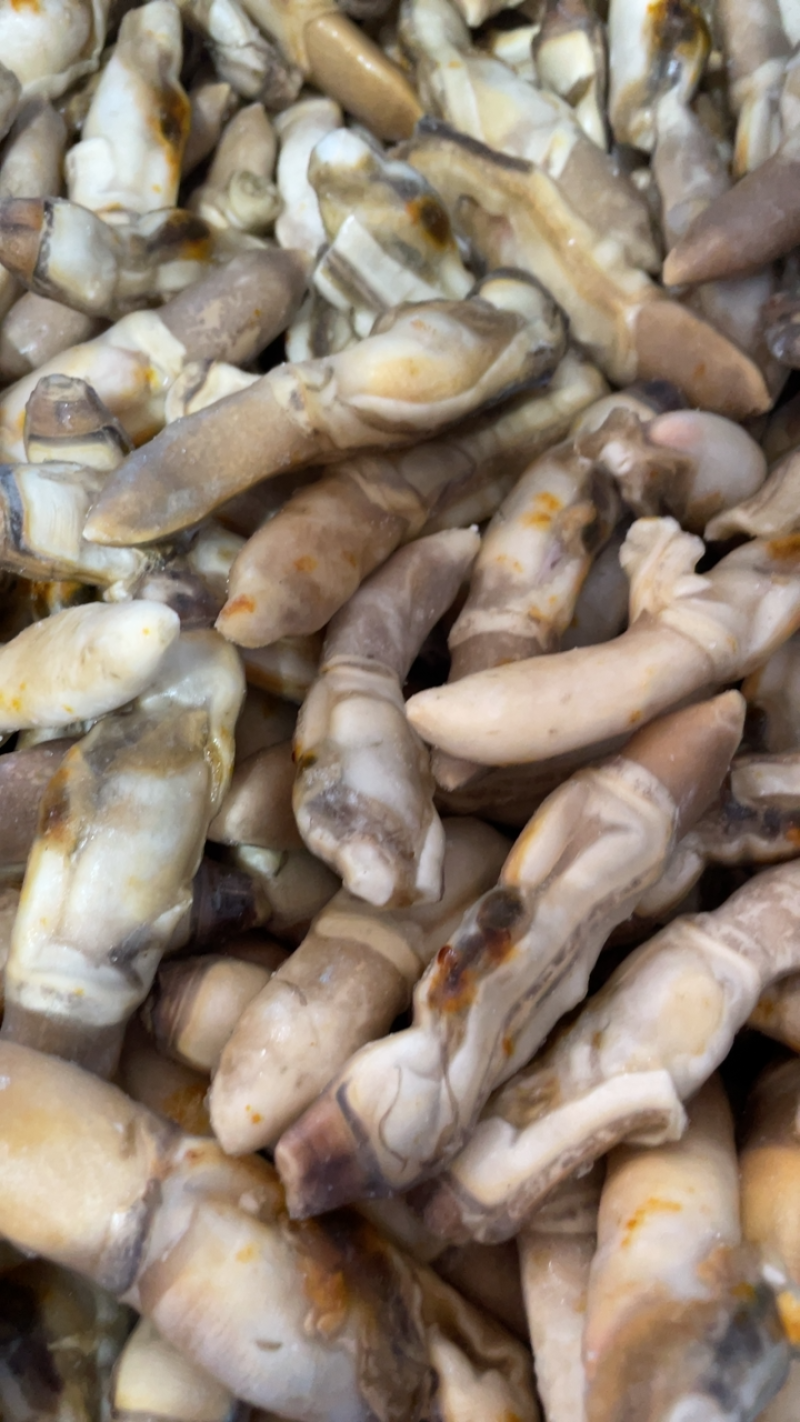 产地直销蛏王肉去沙嘴蛏王肉海蛏子肉圣子肉海鲜水产