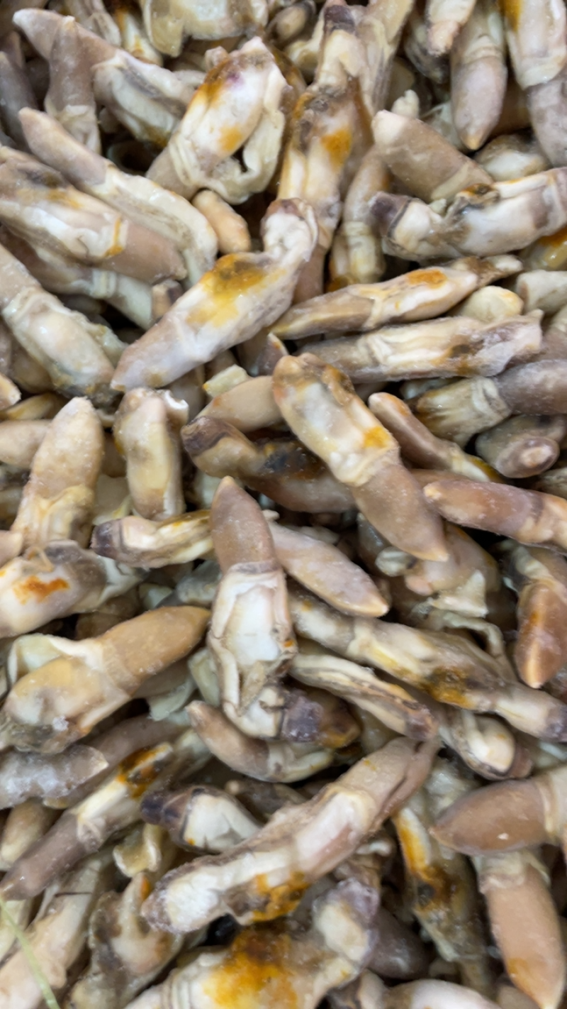 产地直销蛏王肉去沙嘴蛏王肉海蛏子肉圣子肉海鲜水产