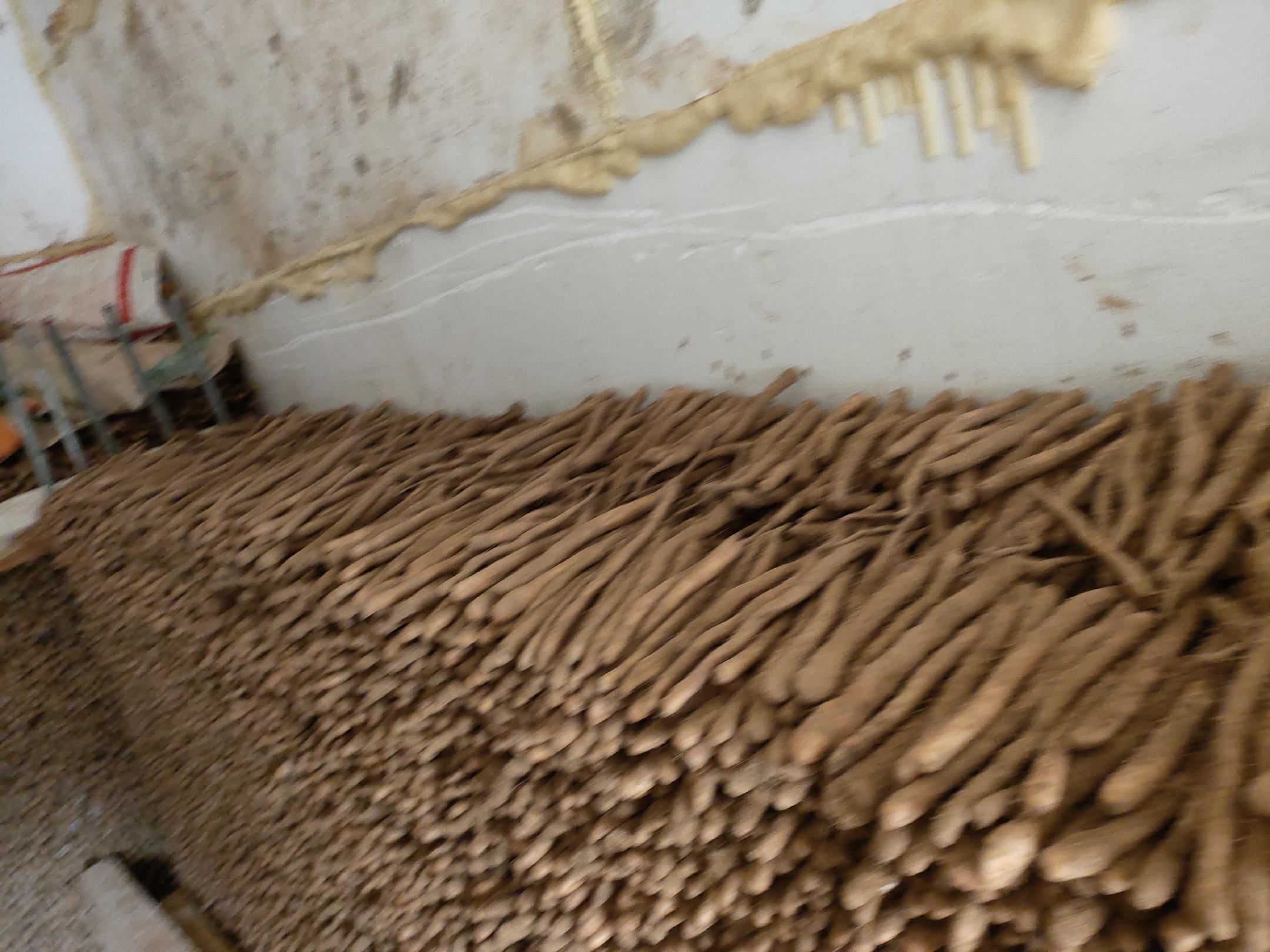 搅拌机中正在将山药和土豆打成细腻泥状 山药土豆泥搅拌过程