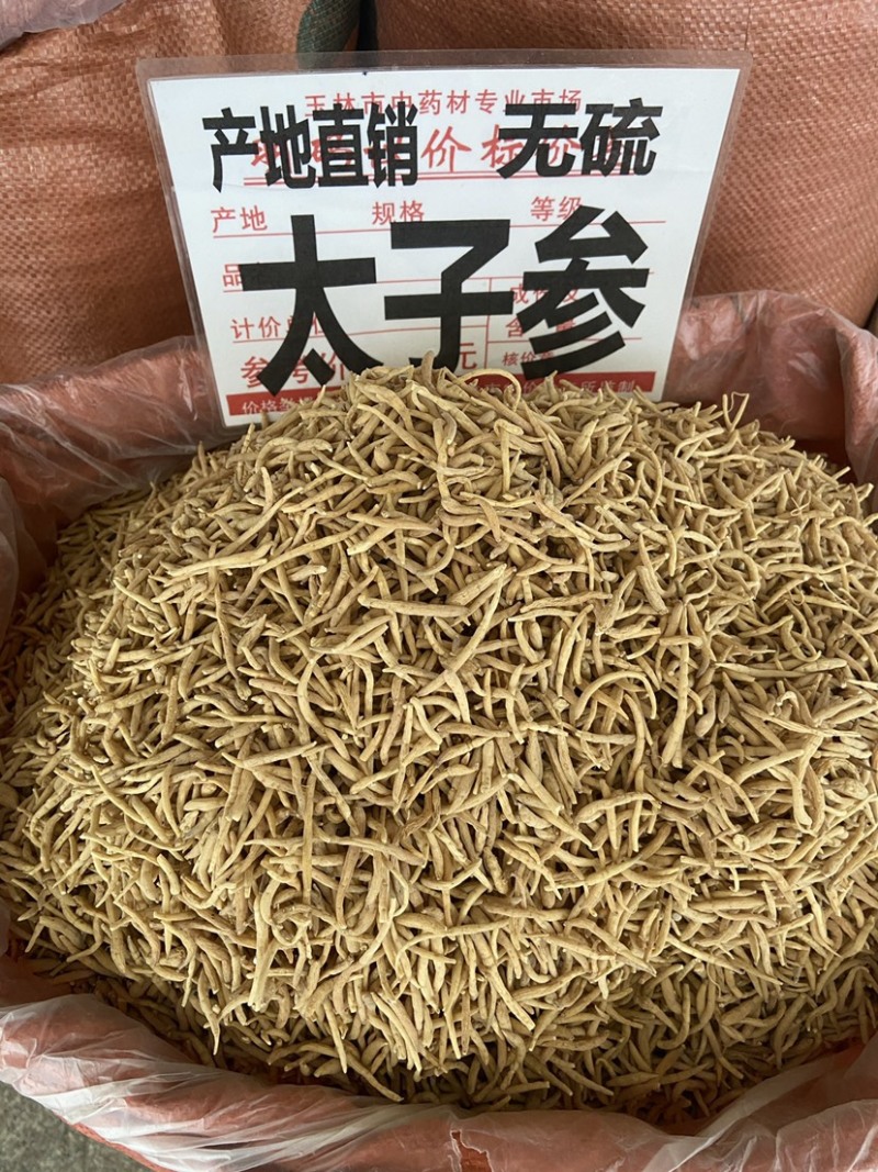太子参中药材野生孩儿参颗子粒儿童煲汤拓太子叁福建