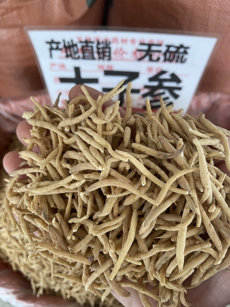 太子参中药材野生孩儿参颗子粒儿童煲汤拓太子叁福建