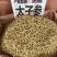 太子参中药材野生孩儿参颗子粒儿童煲汤拓太子叁福建