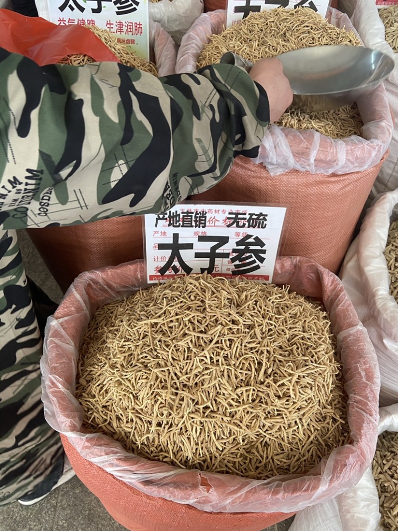太子参中药材野生孩儿参颗子粒儿童煲汤拓太子叁福建