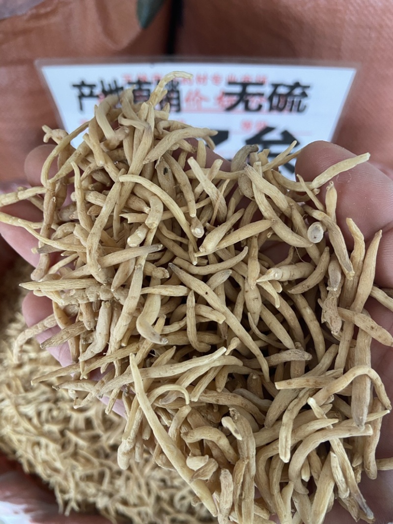 太子参中药材野生孩儿参颗子粒儿童煲汤拓太子叁福建