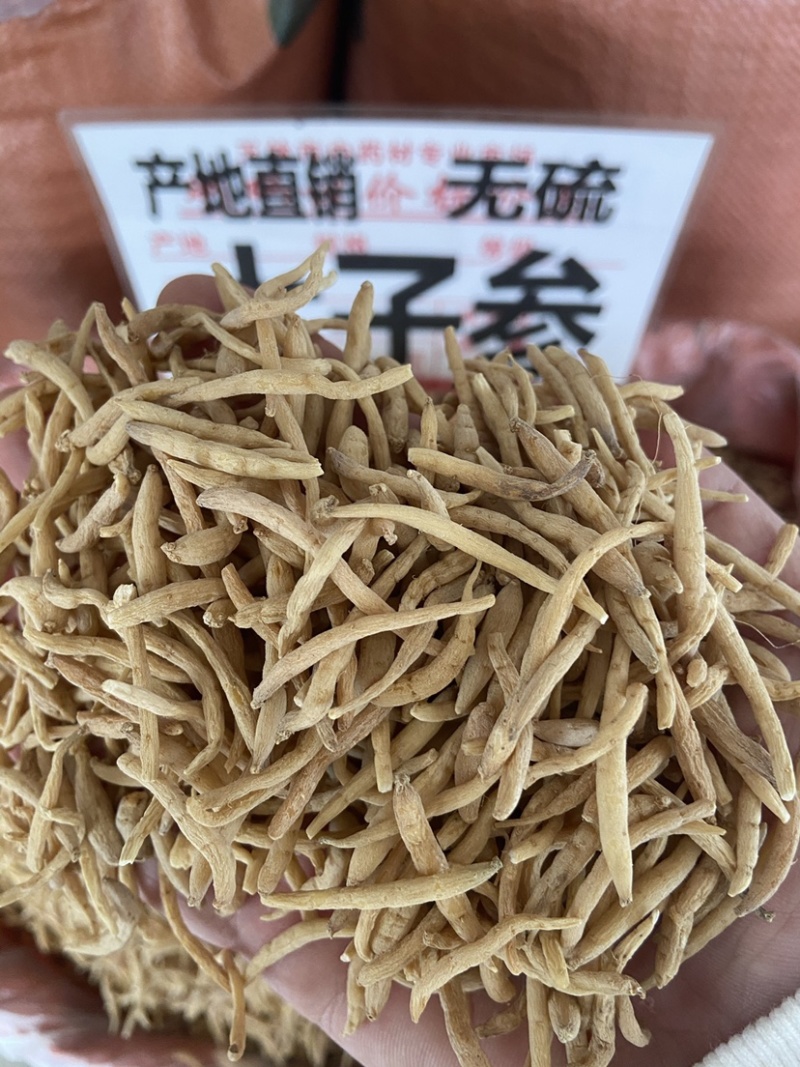 太子参中药材野生孩儿参颗子粒儿童煲汤拓太子叁福建