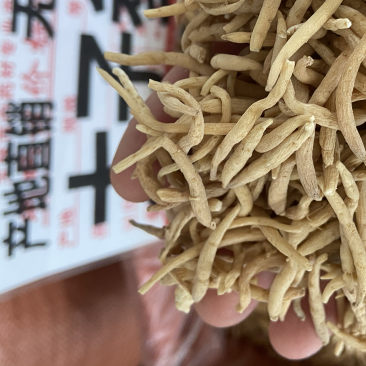 太子参中药材野生孩儿参颗子粒儿童煲汤拓太子叁福建