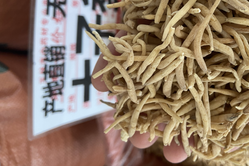 太子参中药材野生孩儿参颗子粒儿童煲汤拓太子叁福建
