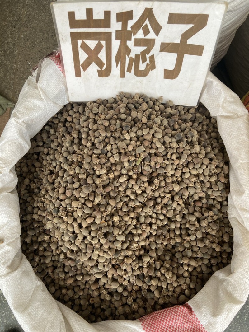 中药材野生山捻子桃金娘干果稔子豆捻岗捻子泡酒泡酒