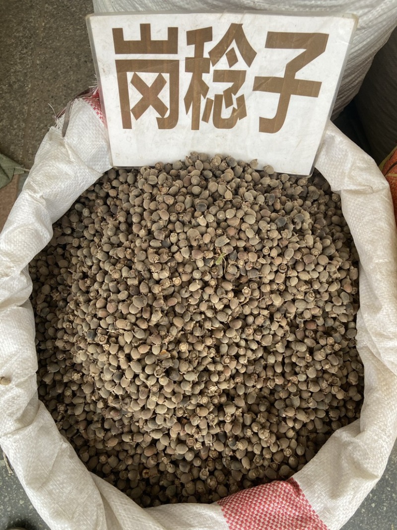 中药材野生山捻子桃金娘干果稔子豆捻岗捻子泡酒泡酒