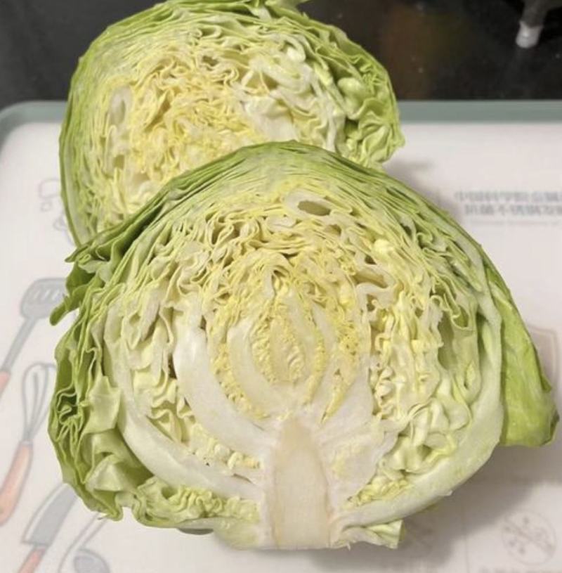 河北精品甘蓝整车发货，圆包菜，上市中全国发货欢迎联系