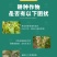 80%代森锰锌杀菌剂霜霉病果树蔬菜炭疽病黄瓜葡萄苹果柑