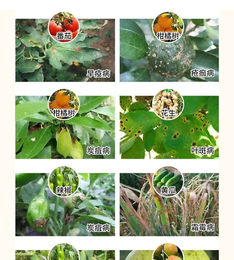 80%代森锰锌杀菌剂霜霉病果树蔬菜炭疽病黄瓜葡萄苹果柑